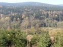Podzimní lesy, přes které protéká Divoká Orlice nad obci Poniatów.