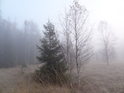 Ranní mlha dokresluje kolorit slatinné oblasti Czarne Bagno a také částečně zakrývá velice nespolehlivý terén, kde nás může okolní bahno při neopatrném kroku zcela pohltit.