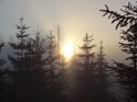 Podzimní Slunce už sílí a brzy nebude možné mu pohlédnout v tvář, mlha se rozpouští a čeká nás překrásný den v pramenné oblasti Divoké Orlice, chráněném území Torfowisko pod Zieleńcem.