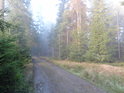 Lesní cesta přes chráněné území Torfowisko pod Zieleńcem, pramennou oblast Divoké Orlice.