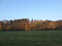 Pravobřežní niva Divoké Orlice a do podzimu zabarvený les mezi obcemi Nekoř a Líšnice.