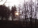 Slunce nesměle proniká přes opadané stromy na levém břehu Divoké Orlice nad obcí Bohousová.