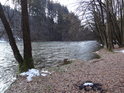 V některých úsecích je Divoká Orlice pod Liticemi nad Orlicí poměrně široká řeka.