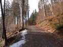 Lesní cesta na pravém břehu Divoké Orlice mezi obcemi Litice nad Orlicí a Sopotnice v místě stoupání.

